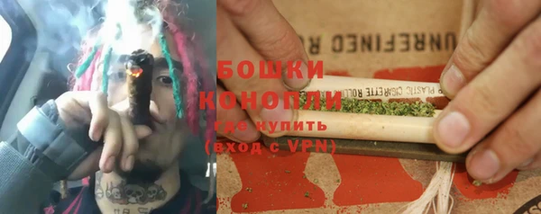 ПСИЛОЦИБИНОВЫЕ ГРИБЫ Нея