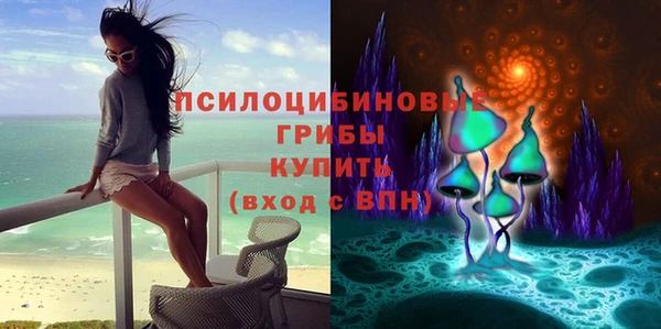 ПСИЛОЦИБИНОВЫЕ ГРИБЫ Нея