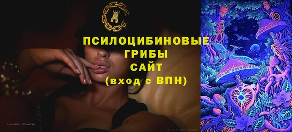 ПСИЛОЦИБИНОВЫЕ ГРИБЫ Нея