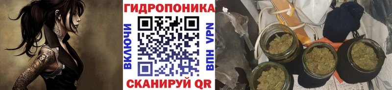 Конопля MAZAR  Купить где  Тейково 